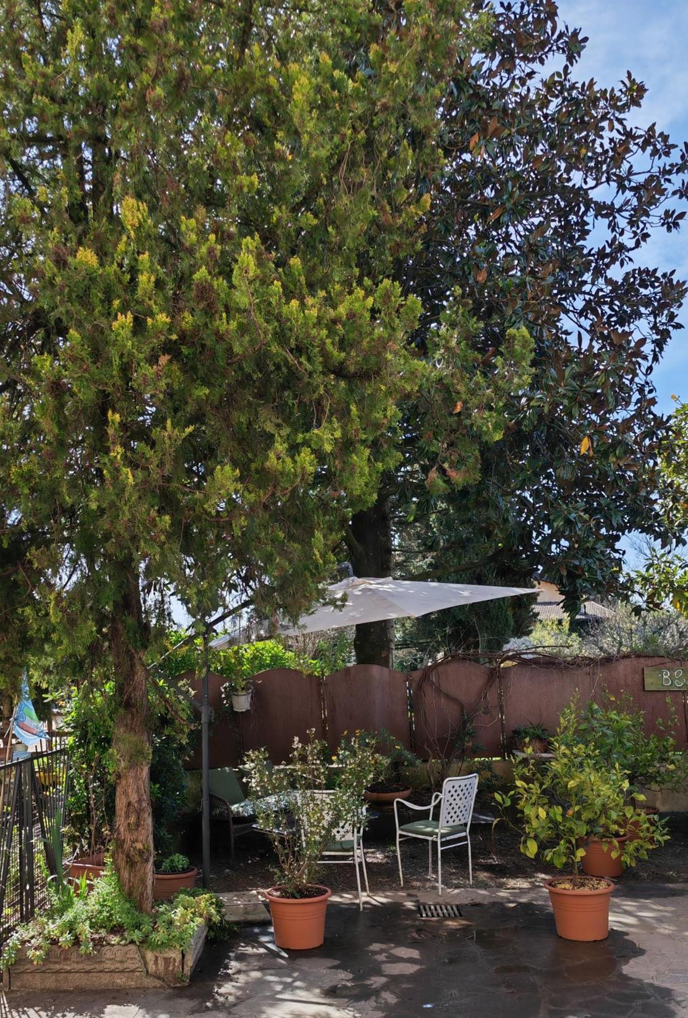 B&B Lamagia Di Corte Moronati Sirmione Eksteriør bilde